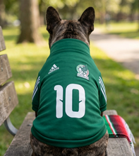Cargar imagen en el visor de la galería, Sudadera Seleccion Mexicana Perro Jersey Mundial 2026 Mexico
