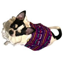 Cargar imagen en el visor de la galería, Disfraz Vestido Indita Mexicana Mascotas Para Perro Gato Fiestas Patrias