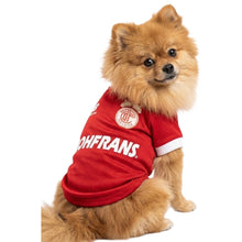 Cargar imagen en el visor de la galería, Playera Toluca Jersey Para Mascota Perro o Gato Futbol