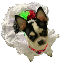 Cargar imagen en el visor de la galería, Disfraz Vestido Jarocha Veracruzana Mexicano Para Mascota Perro Gato Fiestas Patrias
