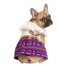 Cargar imagen en el visor de la galería, Disfraz Vestido Indita Mexicana Mascotas Para Perro Gato Fiestas Patrias