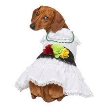 Cargar imagen en el visor de la galería, Disfraz Vestido Jarocha Veracruzana Mexicano Para Mascota Perro Gato Fiestas Patrias