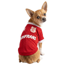 Cargar imagen en el visor de la galería, Playera Toluca Jersey Para Mascota Perro o Gato Futbol