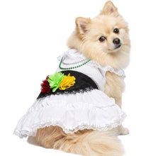 Cargar imagen en el visor de la galería, Disfraz Vestido Jarocha Veracruzana Mexicano Para Mascota Perro Gato Fiestas Patrias