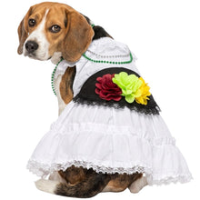 Cargar imagen en el visor de la galería, Disfraz Vestido Jarocha Veracruzana Mexicano Para Mascota Perro Gato Fiestas Patrias