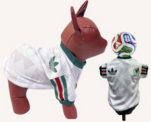 Cargar imagen en el visor de la galería, Playera Seleccion Mexico Perro Jersey Mundial 2026 Gato Md2