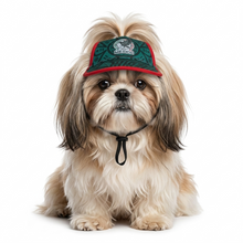 Cargar imagen en el visor de la galería, Gorra Mexico Para Mascota Seleccion Mexicana Mundial 2026 Perro o Gato