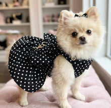 Cargar imagen en el visor de la galería, Vestido Con arnes y correa para Mascota Ropa para Perros y gatos