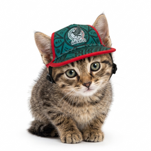 Cargar imagen en el visor de la galería, Gorra Mexico Para Mascota Seleccion Mexicana Mundial 2026 Perro o Gato