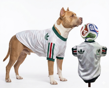 Cargar imagen en el visor de la galería, Playera Seleccion Mexico Perro Jersey Mundial 2026 Gato Md2