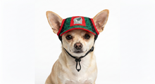 Cargar imagen en el visor de la galería, Gorra Mexico Para Mascota Seleccion Mexicana Mundial 2026 Perro o Gato