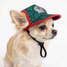 Cargar imagen en el visor de la galería, Gorra Mexico Para Mascota Seleccion Mexicana Mundial 2026 Perro o Gato