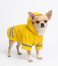 Cargar imagen en el visor de la galería, Impermeable Para Perro Con Capucha Y Tira Reflectante Gato