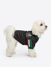 Cargar imagen en el visor de la galería, Playera Seleccion Mexico Perro Jersey Mundial 2026 Gato Md2