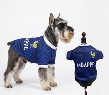 Cargar imagen en el visor de la galería, Playera Seleccion Francia Perro Jersey Mundial 2026 Gato