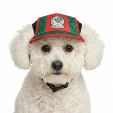 Cargar imagen en el visor de la galería, Gorra Mexico Para Mascota Seleccion Mexicana Mundial 2026 Perro o Gato