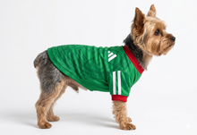 Cargar imagen en el visor de la galería, Playera Seleccion Mexico Perro Jersey Mundial 2026 Gato Md2
