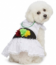 Cargar imagen en el visor de la galería, Disfraz Vestido Jarocha Veracruzana Mexicano Para Mascota Perro Gato Fiestas Patrias