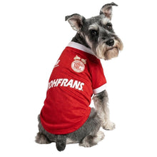 Cargar imagen en el visor de la galería, Playera Toluca Jersey Para Mascota Perro o Gato Futbol