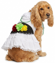 Cargar imagen en el visor de la galería, Disfraz Vestido Jarocha Veracruzana Mexicano Para Mascota Perro Gato Fiestas Patrias