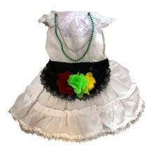 Cargar imagen en el visor de la galería, Disfraz Vestido Jarocha Veracruzana Mexicano Para Mascota Perro Gato Fiestas Patrias