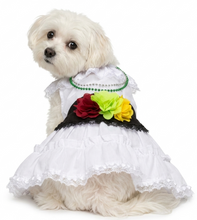 Cargar imagen en el visor de la galería, Disfraz Vestido Jarocha Veracruzana Mexicano Para Mascota Perro Gato Fiestas Patrias