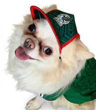Cargar imagen en el visor de la galería, Gorra Mexico Para Mascota Seleccion Mexicana Mundial 2026 Perro o Gato