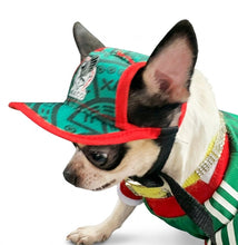 Cargar imagen en el visor de la galería, Gorra Mexico Para Mascota Seleccion Mexicana Mundial 2026 Perro o Gato
