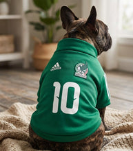 Cargar imagen en el visor de la galería, Sudadera Seleccion Mexicana Perro Jersey Mundial 2026 Mexico
