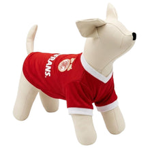 Cargar imagen en el visor de la galería, Playera Toluca Jersey Para Mascota Perro o Gato Futbol
