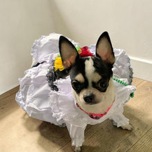 Cargar imagen en el visor de la galería, Disfraz Vestido Jarocha Veracruzana Mexicano Para Mascota Perro Gato Fiestas Patrias
