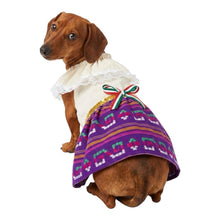Cargar imagen en el visor de la galería, Disfraz Vestido Indita Mexicana Mascotas Para Perro Gato Fiestas Patrias
