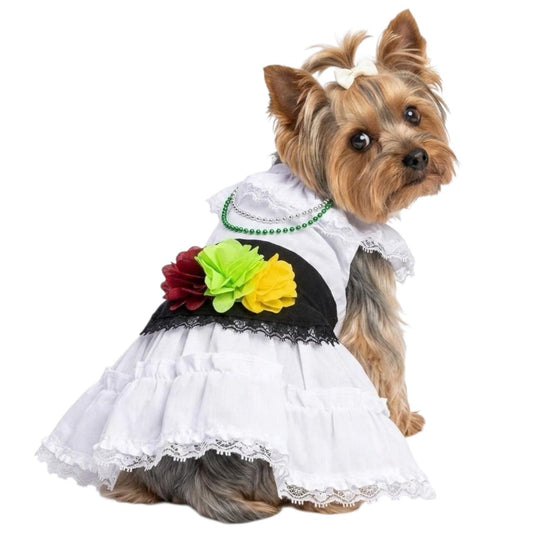 Disfraz Vestido Jarocha Veracruzana Mexicano Para Mascota Perro Gato Fiestas Patrias