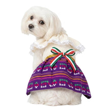 Cargar imagen en el visor de la galería, Disfraz Vestido Indita Mexicana Mascotas Para Perro Gato Fiestas Patrias
