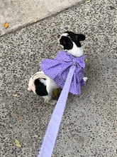 Cargar imagen en el visor de la galería, Vestido Con arnes y correa para Mascota Ropa para Perros y gatos
