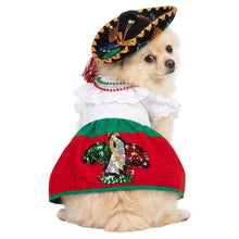 Cargar imagen en el visor de la galería, Disfraz Vestido China Poblana Mexicano Para Mascota Perro Fiestas Patrias Gato Sombrero
