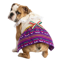Cargar imagen en el visor de la galería, Disfraz Vestido Indita Mexicana Mascotas Para Perro Gato Fiestas Patrias
