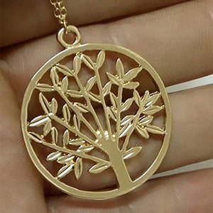 Collar Once Upon A Time Manzano Chip Disney Regina