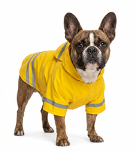 Cargar imagen en el visor de la galería, Impermeable Para Perro Con Capucha Y Tira Reflectante Gato
