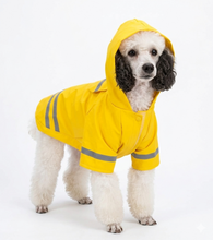 Cargar imagen en el visor de la galería, Impermeable Para Perro Con Capucha Y Tira Reflectante Gato
