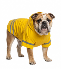 Cargar imagen en el visor de la galería, Impermeable Para Perro Con Capucha Y Tira Reflectante Gato
