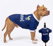 Cargar imagen en el visor de la galería, Playera Seleccion Francia Perro Jersey Mundial 2026 Gato
