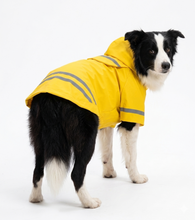 Cargar imagen en el visor de la galería, Impermeable Para Perro Con Capucha Y Tira Reflectante Gato
