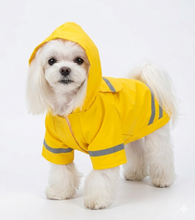 Cargar imagen en el visor de la galería, Impermeable Para Perro Con Capucha Y Tira Reflectante Gato
