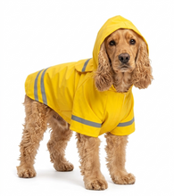 Cargar imagen en el visor de la galería, Impermeable Para Perro Con Capucha Y Tira Reflectante Gato

