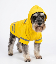 Cargar imagen en el visor de la galería, Impermeable Para Perro Con Capucha Y Tira Reflectante Gato
