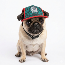 Cargar imagen en el visor de la galería, Gorra Mexico Para Mascota Seleccion Mexicana Mundial 2026 Perro o Gato
