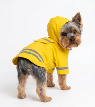 Cargar imagen en el visor de la galería, Impermeable Para Perro Con Capucha Y Tira Reflectante Gato

