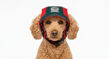 Cargar imagen en el visor de la galería, Gorra Mexico Para Mascota Seleccion Mexicana Mundial 2026 Perro o Gato
