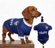 Cargar imagen en el visor de la galería, Playera Seleccion Francia Perro Jersey Mundial 2026 Gato
